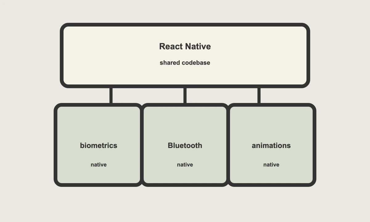 Native modules inside a cross-platform project: biometrics, Bluetooth, complex animations