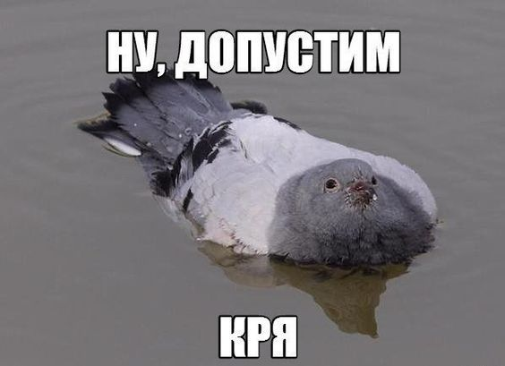 Декомпозиция запроса «Сделайте как Авито» на конкретные бизнес-функции